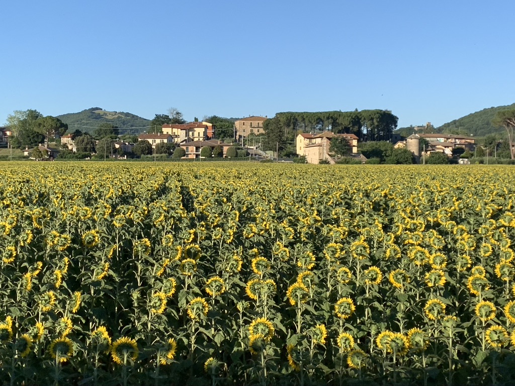 Il paesaggio tra Perugia e Umbertide visto dal treno, luglio 2020.